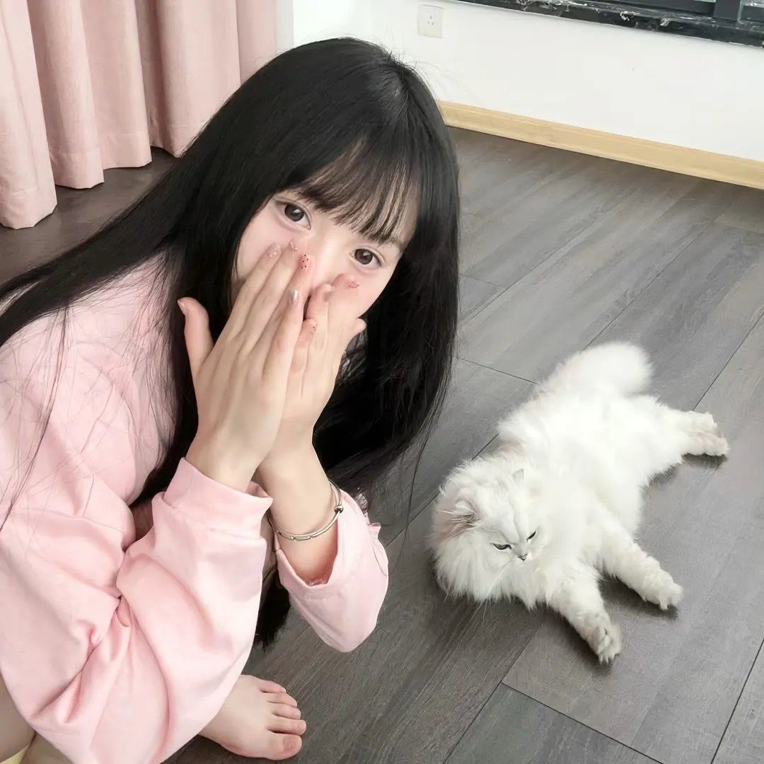 犬夜叉：红莲之蓬莱岛
